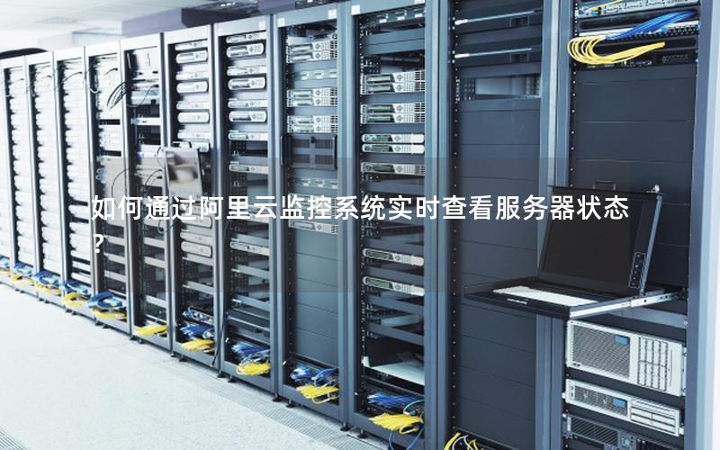 如何通过阿里云监控系统实时查看服务器状态？