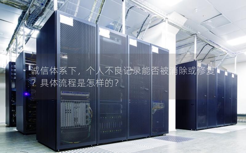 诚信体系下，个人不良记录能否被消除或修复？具体流程是怎样的？