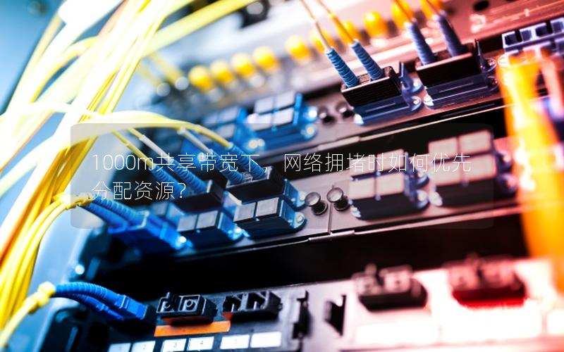 1000m共享带宽下，网络拥堵时如何优先分配资源？