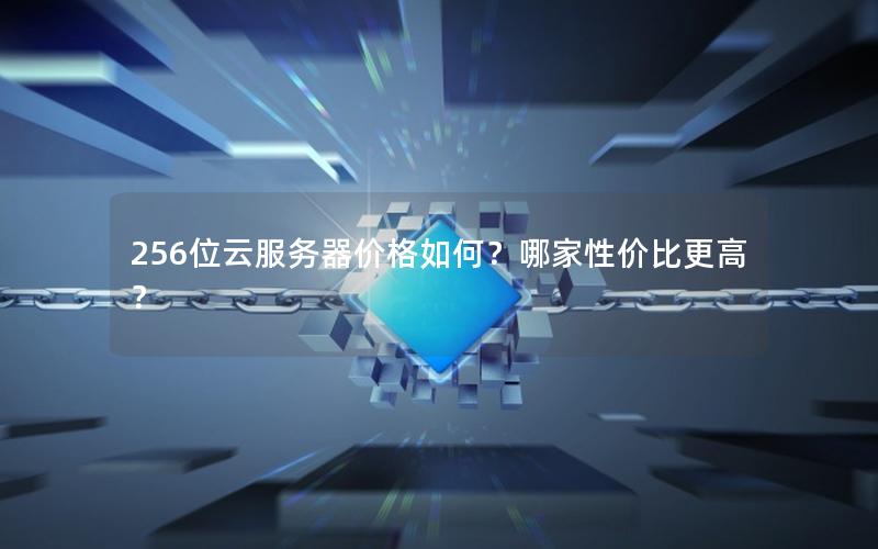 256位云服务器价格如何？哪家性价比更高？
