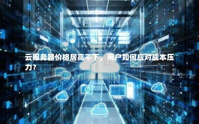 云服务器价格居高不下,用户如何应对成本压力? 云服务器价格居高不下,用户如何应对成本压力?