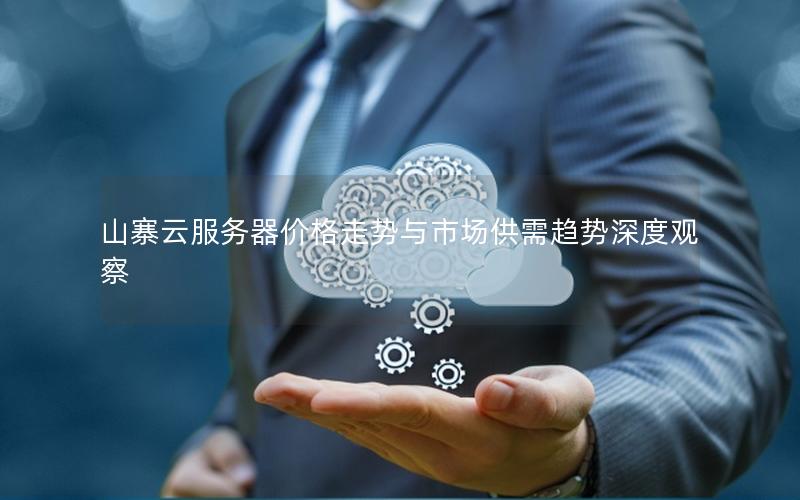 山寨云服务器价格走势与市场供需趋势深度观察