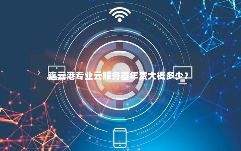 连云港专业云服务器年费大概多少？