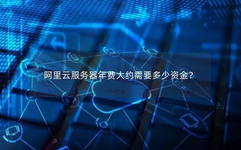 阿里云服务器年费大约需要多少资金？