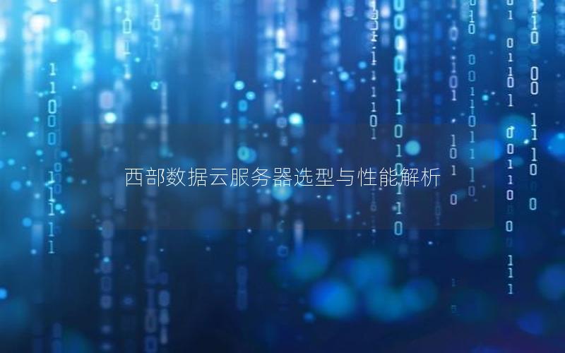 西部数据云服务器选型与性能解析 西部数据云服务器选型与性能解析