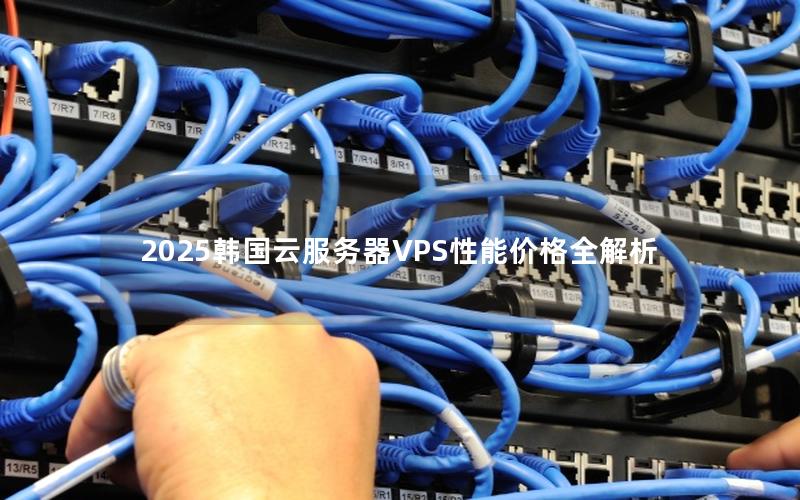 2025韩国云服务器VPS性能价格全解析 2025韩国云服务器VPS性能价格全解析