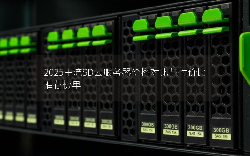 2025主流SD云服务器价格对比与性价比推荐榜单