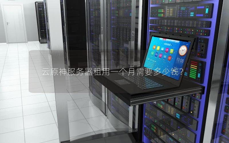 云原神服务器租用一个月需要多少钱? 云原神服务器租用一个月需要多少钱?