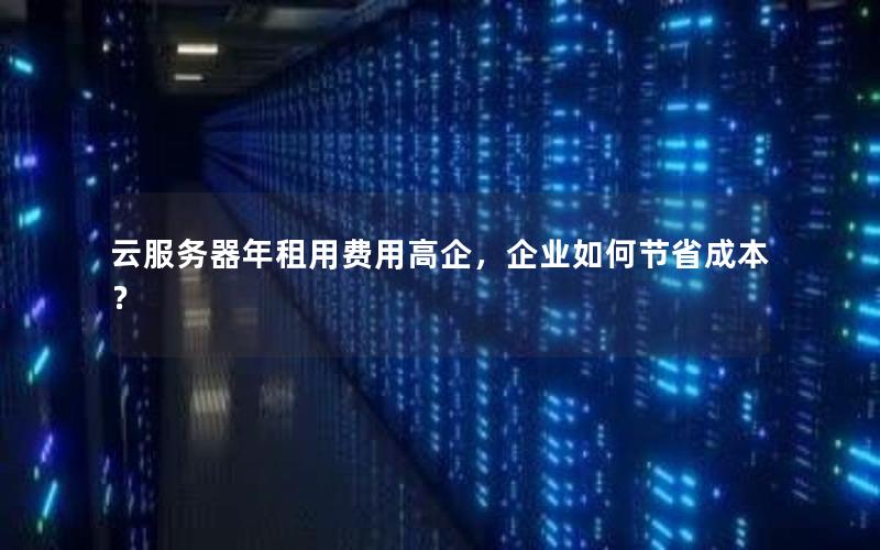 云服务器年租用费用高企，企业如何节省成本？