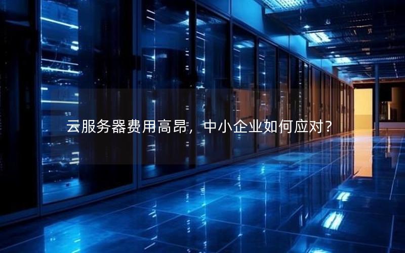 云服务器费用高昂,中小企业如何应对? 云服务器费用高昂,中小企业如何应对?