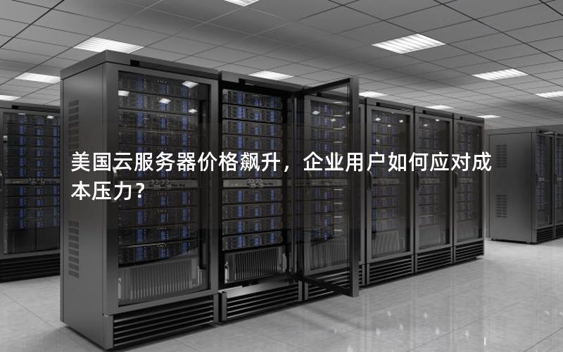 美国云服务器价格飙升,企业用户如何应对成本压力? 美国云服务器价格飙升,企业用户如何应对成本压力?