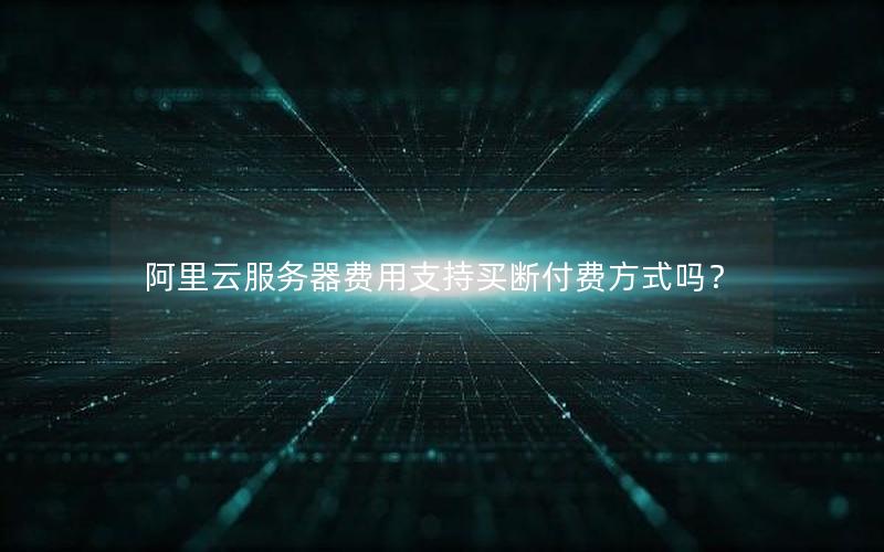 阿里云服务器费用支持买断付费方式吗？