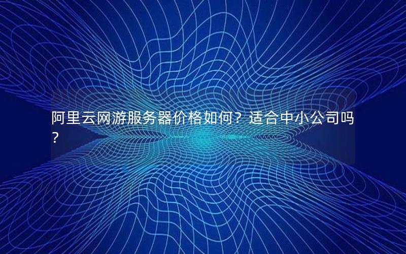 阿里云网游服务器价格如何？适合中小公司吗？